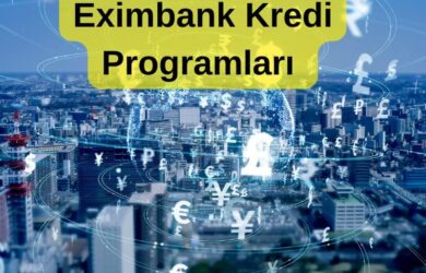 Eximbank Kredi Programları